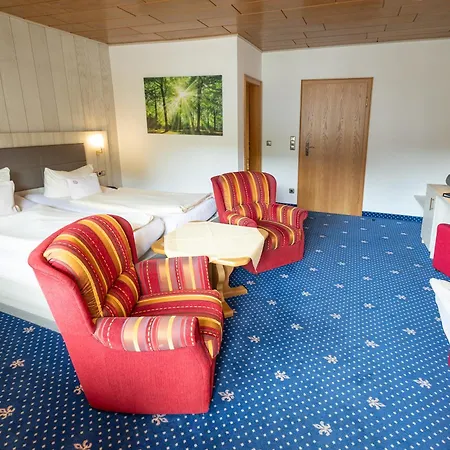 Goebel Hotel Willingen (Upland)